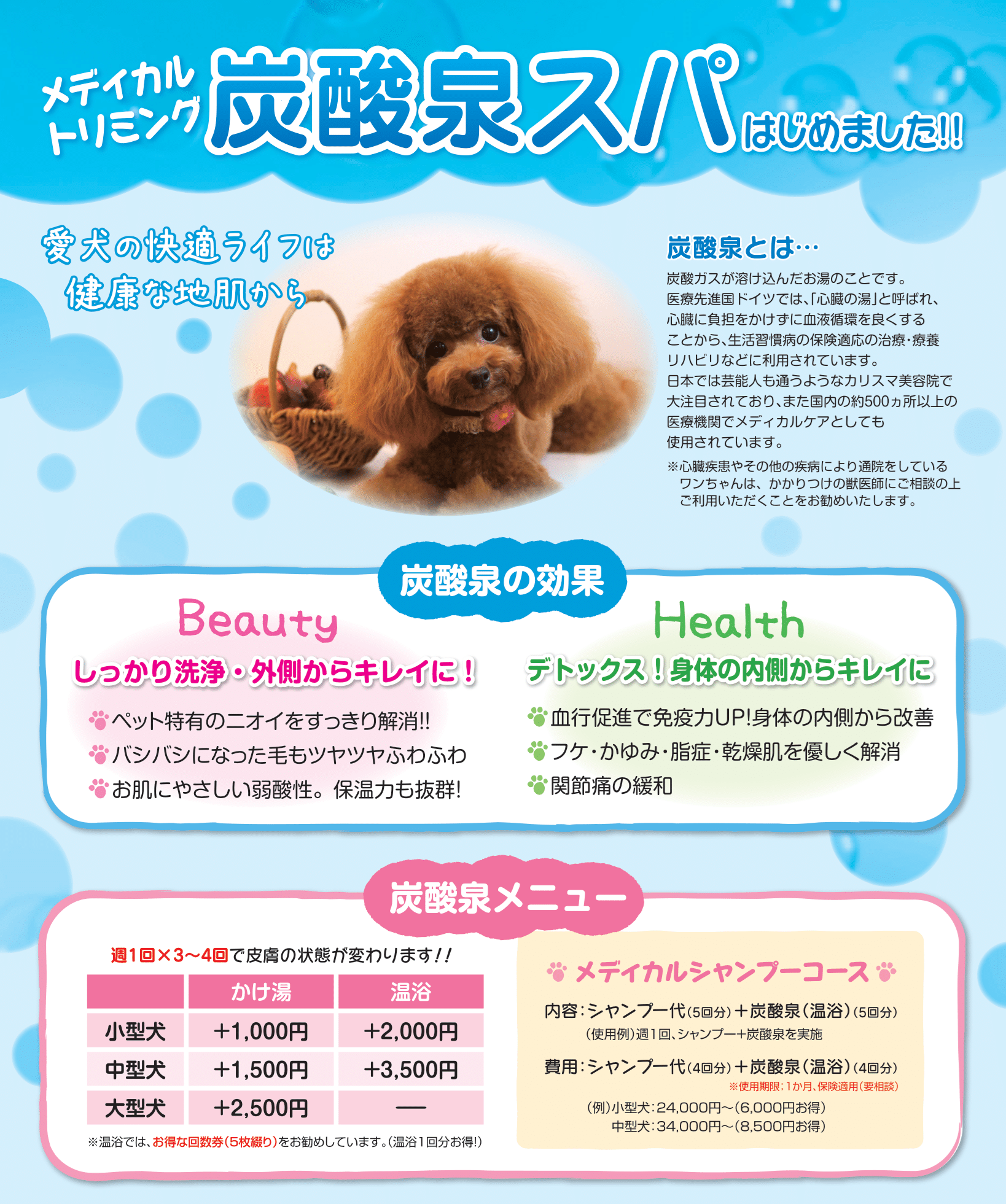 高濃度炭酸泉スパ